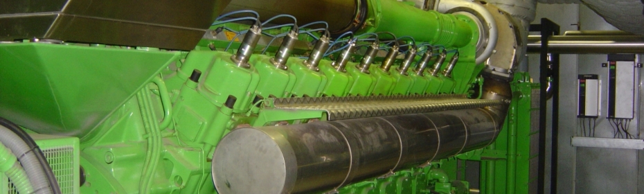 Dalsem - Combined Heat Power Unit (CHP)