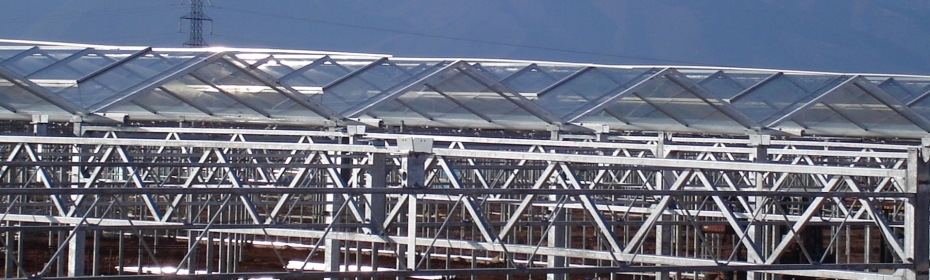 Dalsem - Greenhouse construction
